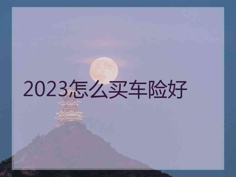 2023怎么买车险好