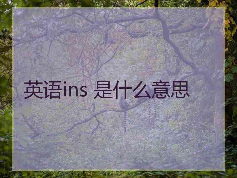 英语ins 是什么意思