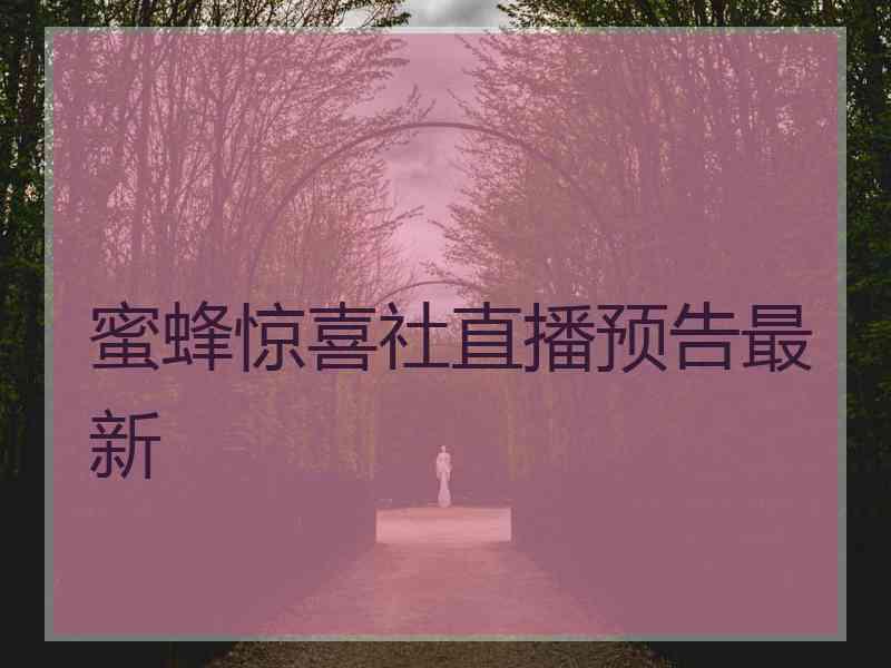 蜜蜂惊喜社直播预告最新