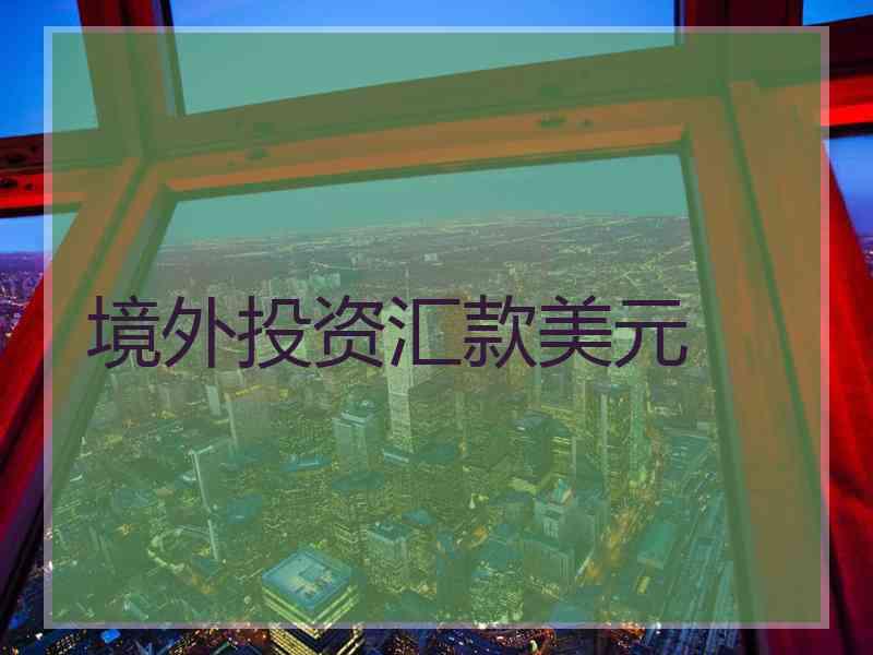 境外投资汇款美元