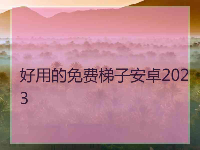 好用的免费梯子安卓2023