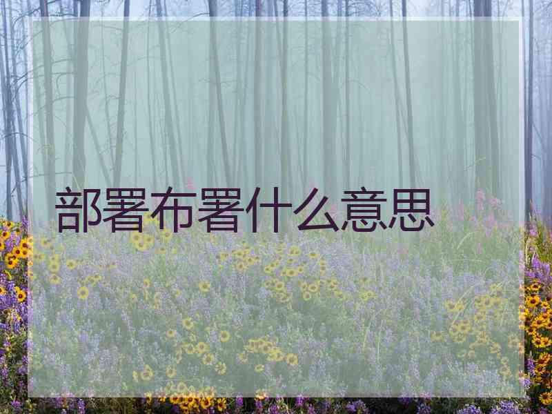 部署布署什么意思