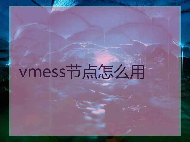 vmess节点怎么用