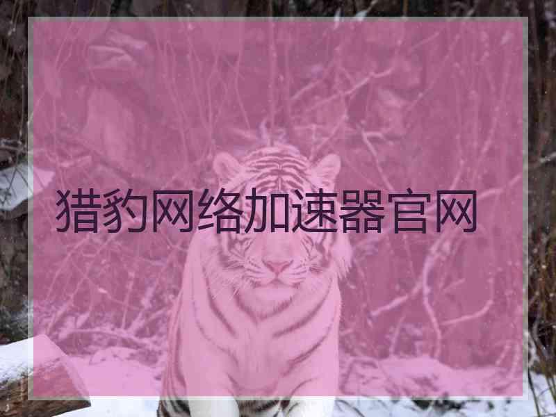 猎豹网络加速器官网