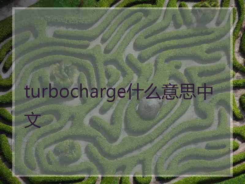 turbocharge什么意思中文