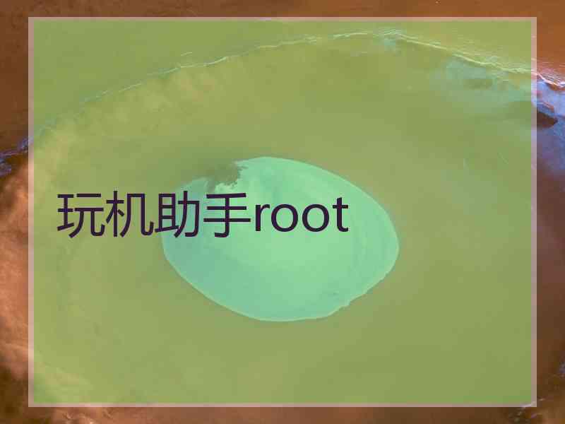 玩机助手root