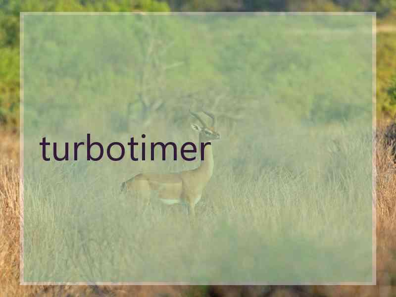 turbotimer