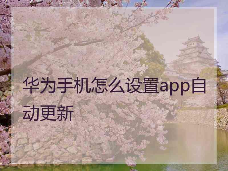 华为手机怎么设置app自动更新