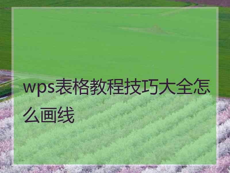 wps表格教程技巧大全怎么画线