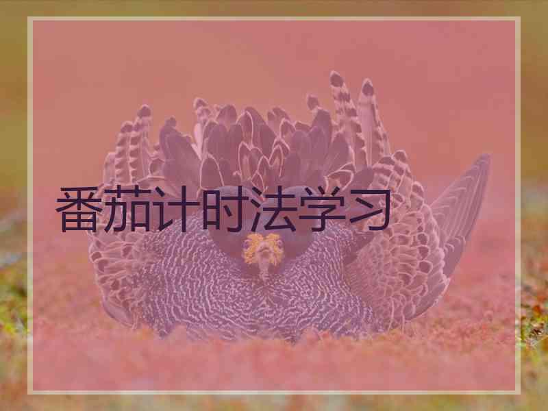 番茄计时法学习