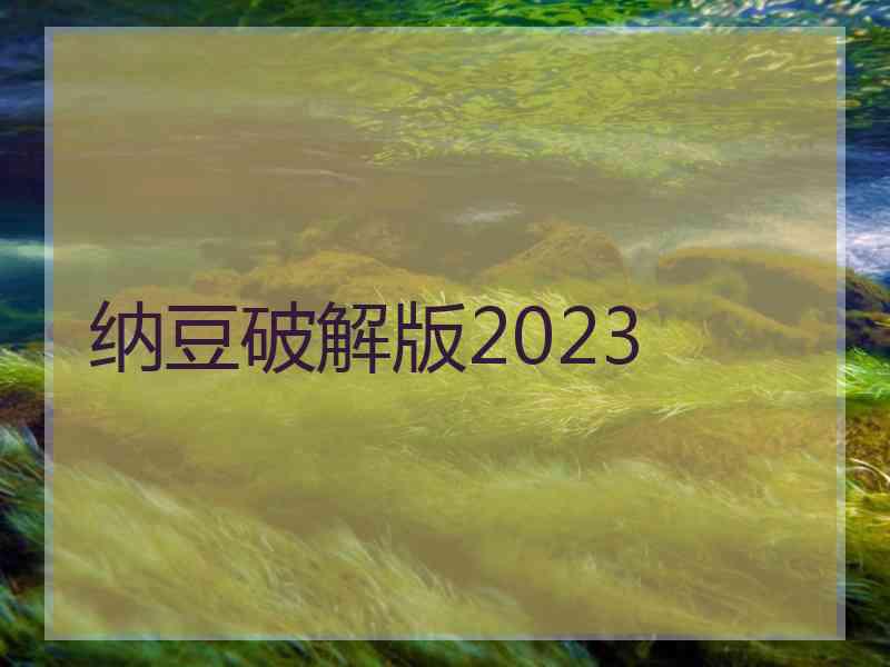 纳豆破解版2023