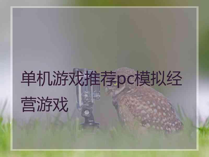 单机游戏推荐pc模拟经营游戏