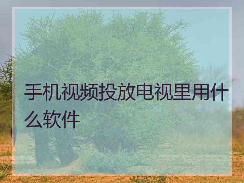 手机视频投放电视里用什么软件