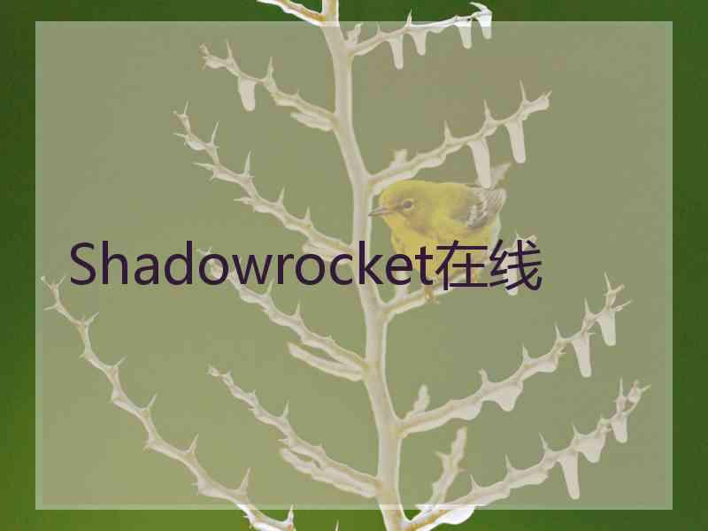 Shadowrocket在线