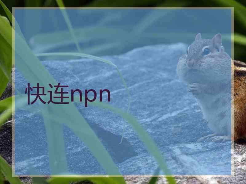 快连npn