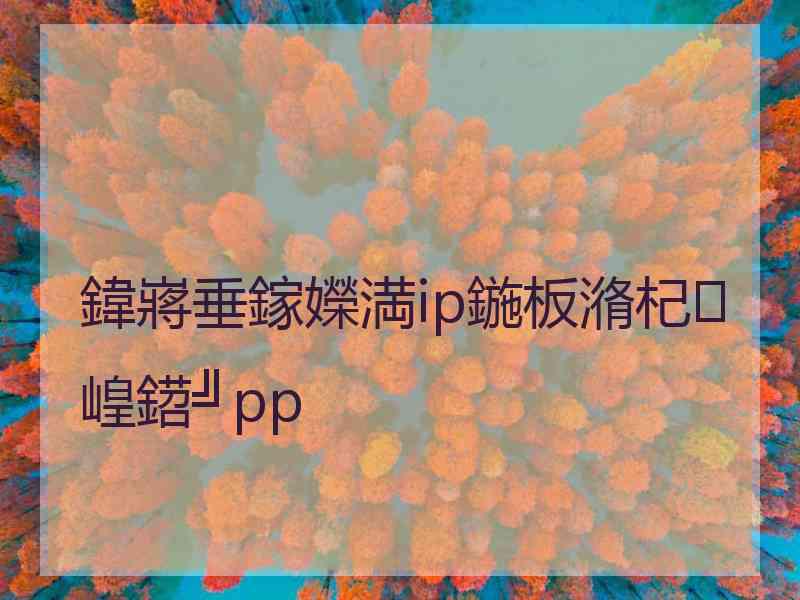 鍏嶈垂鎵嬫満ip鍦板潃杞崲鍣╝pp