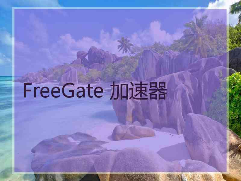 FreeGate 加速器