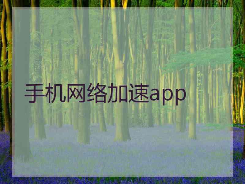 手机网络加速app