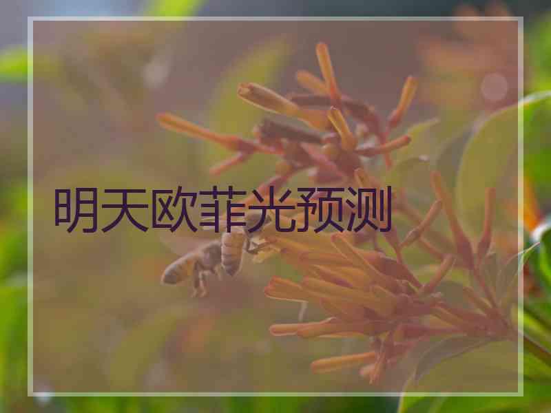 明天欧菲光预测