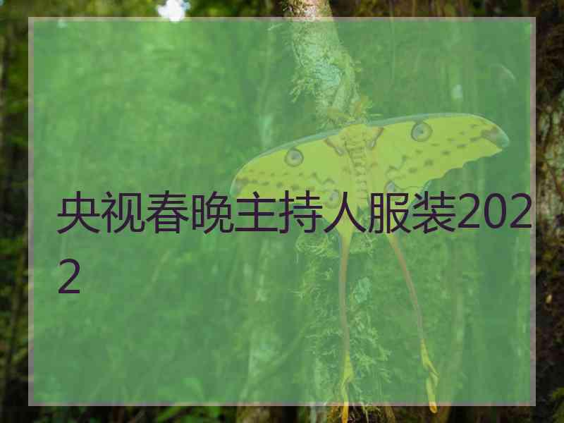 央视春晚主持人服装2022