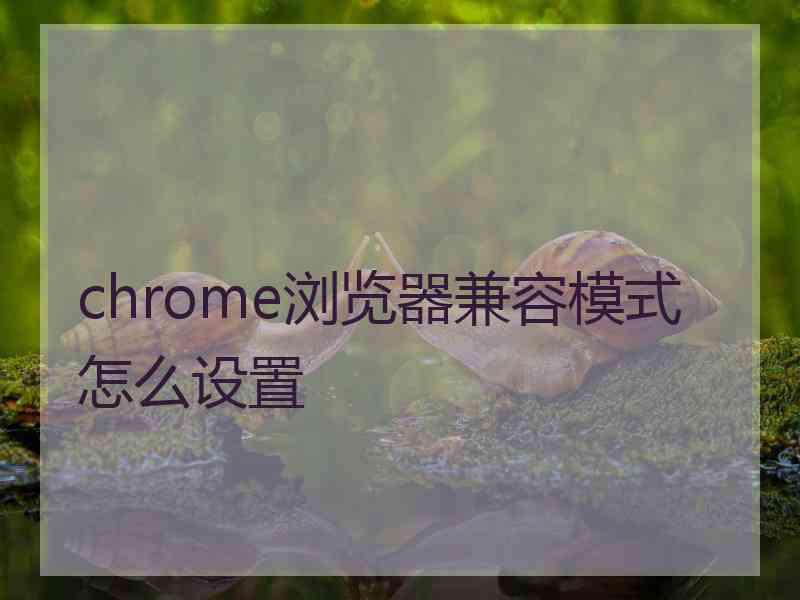 chrome浏览器兼容模式怎么设置