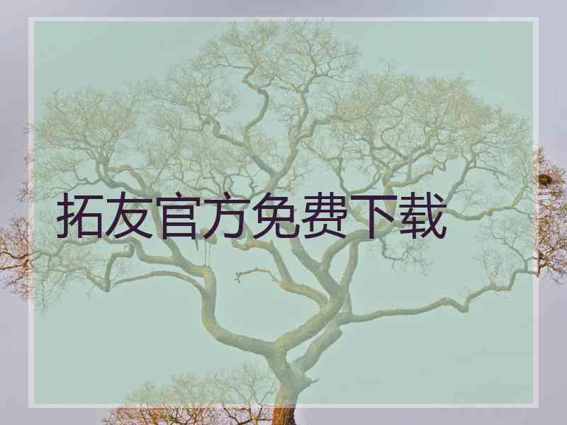 拓友官方免费下载