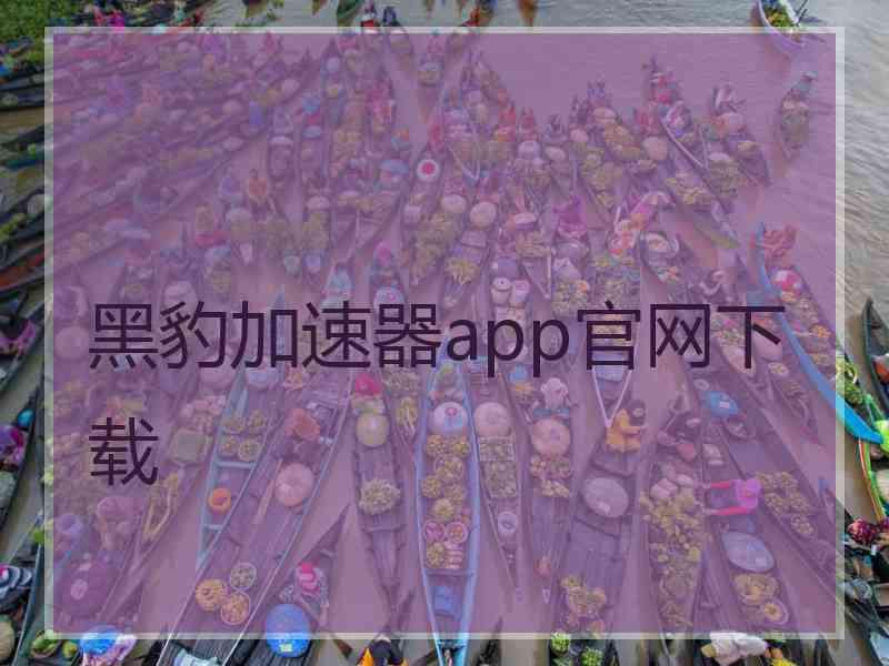 黑豹加速器app官网下载