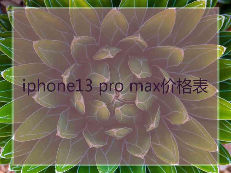 iphone13 pro max价格表