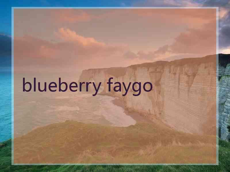 blueberry faygo