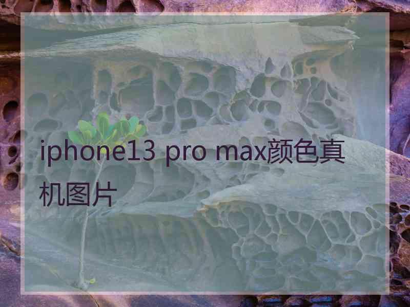 iphone13 pro max颜色真机图片