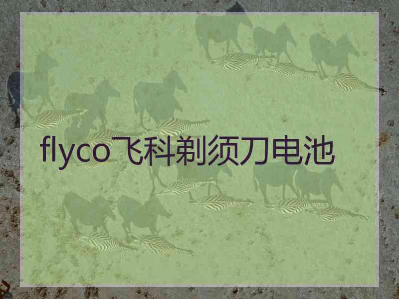 flyco飞科剃须刀电池