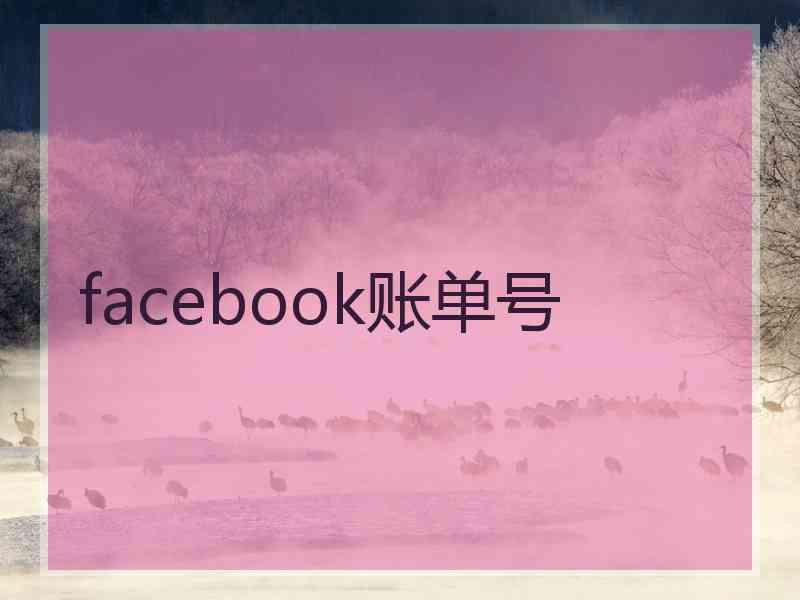 facebook账单号