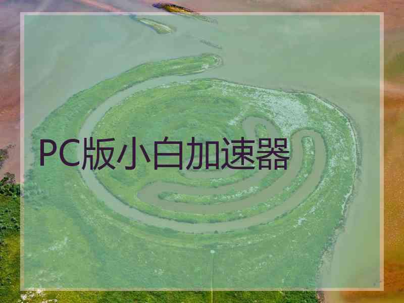 PC版小白加速器