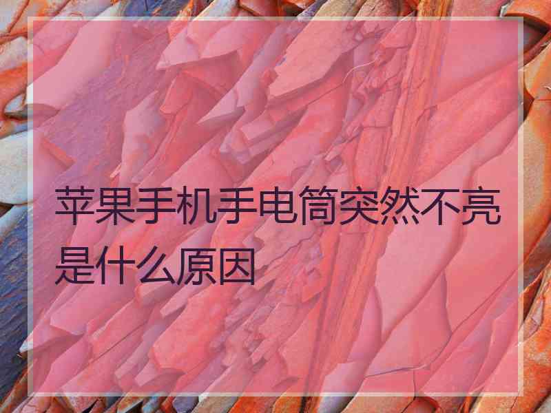 苹果手机手电筒突然不亮是什么原因