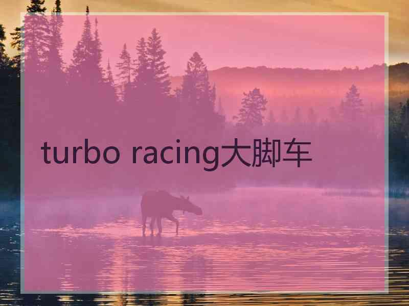 turbo racing大脚车