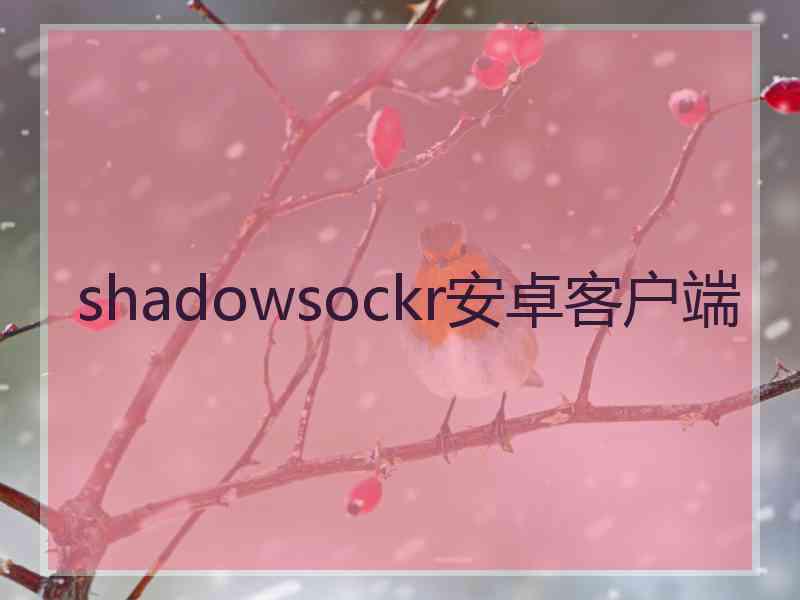 shadowsockr安卓客户端