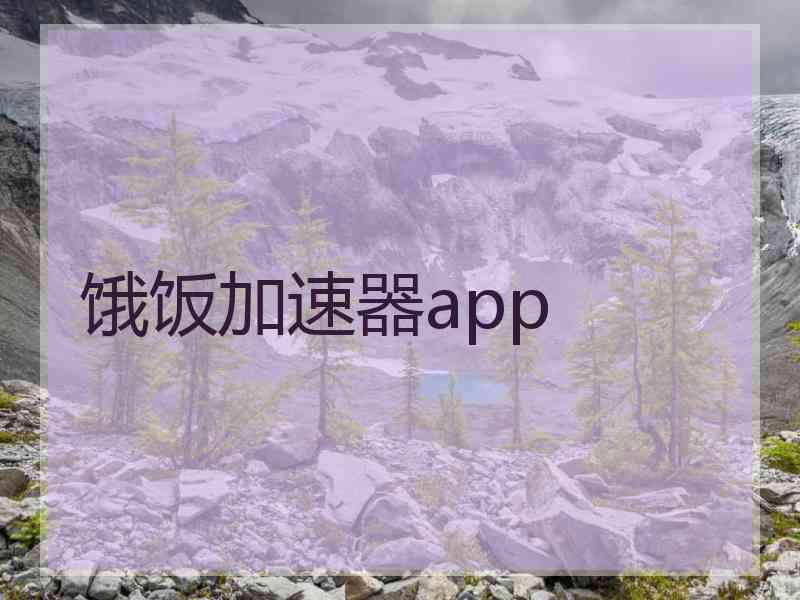 饿饭加速器app