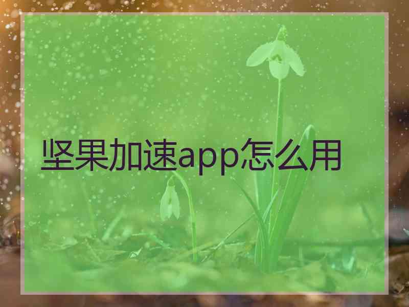 坚果加速app怎么用