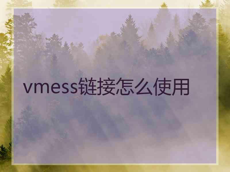 vmess链接怎么使用