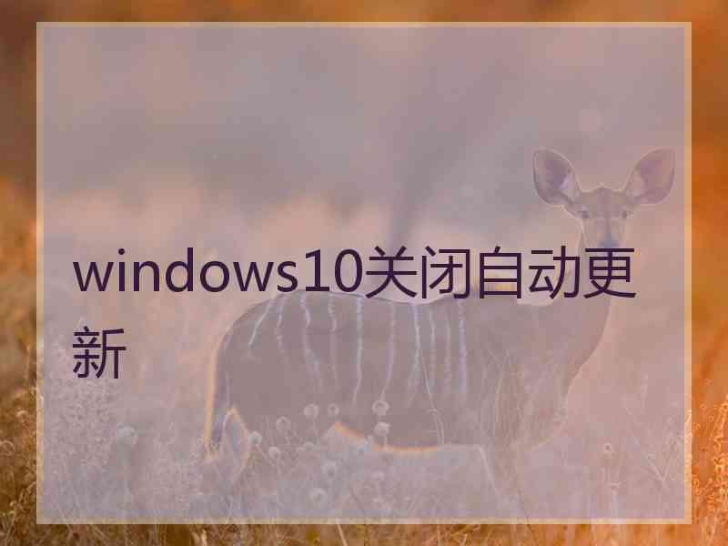 windows10关闭自动更新