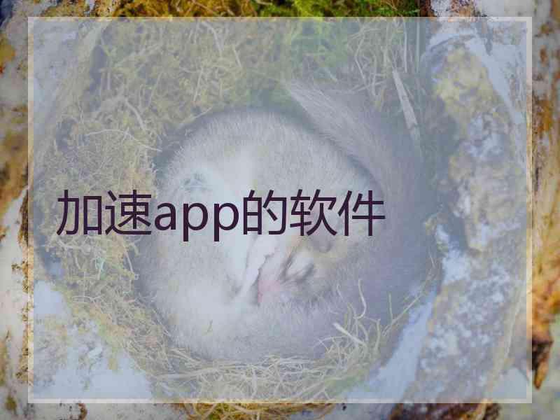 加速app的软件