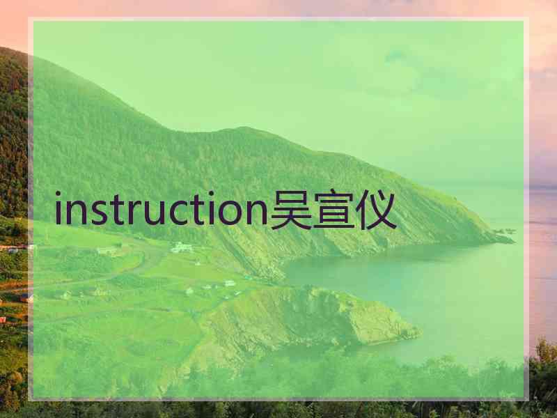 instruction吴宣仪