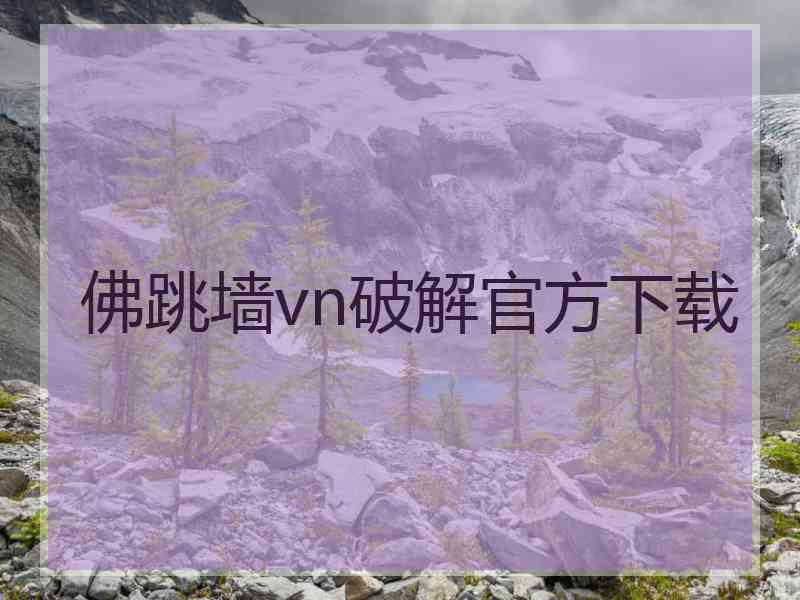 佛跳墙vn破解官方下载