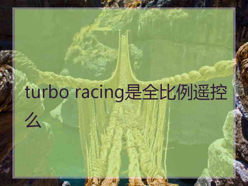 turbo racing是全比例遥控么