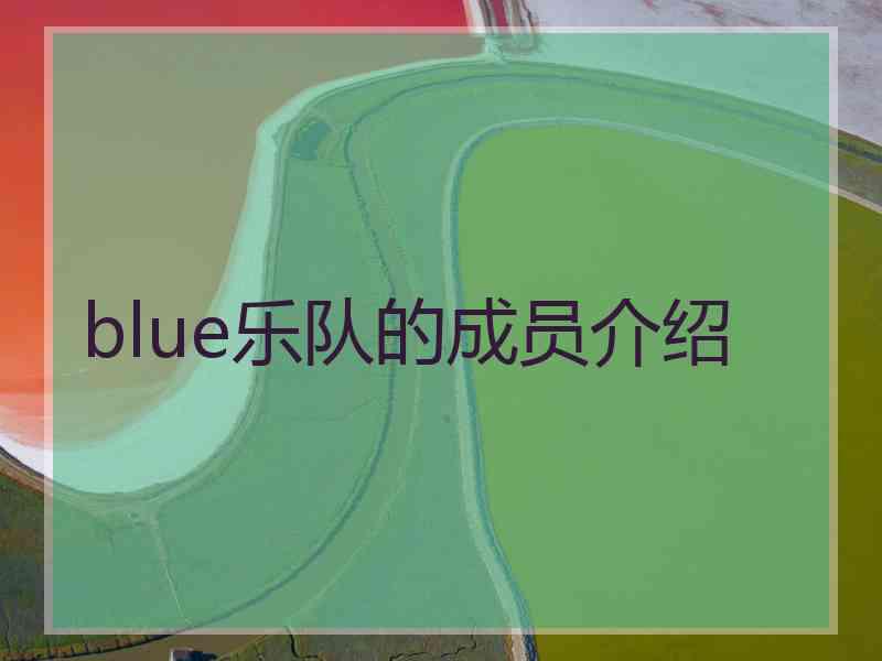 blue乐队的成员介绍