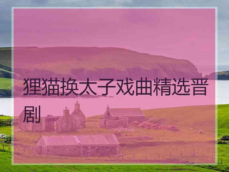 狸猫换太子戏曲精选晋剧