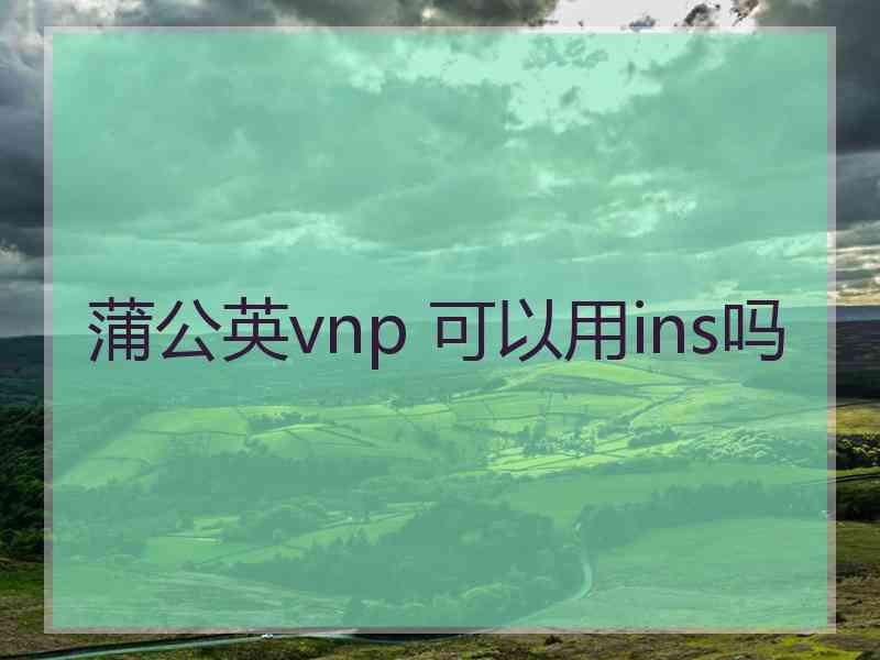 蒲公英vnp 可以用ins吗