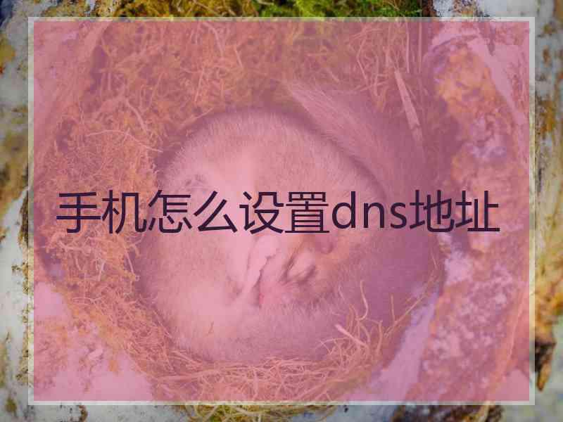 手机怎么设置dns地址