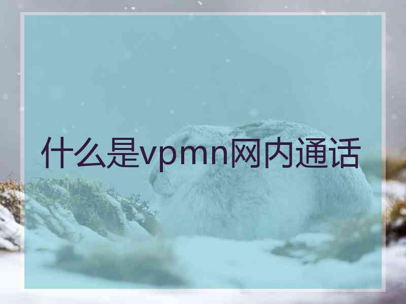 什么是vpmn网内通话