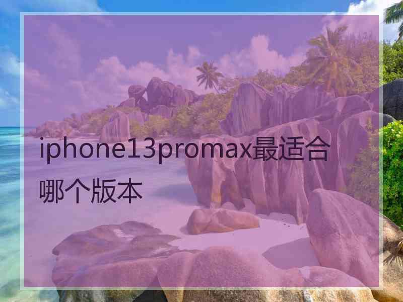 iphone13promax最适合哪个版本